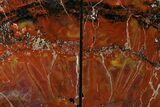 Tall, Arizona Petrified Wood Bookends - Red, Yellow & Purple #171998-2